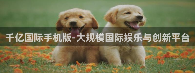 fun88·乐天堂