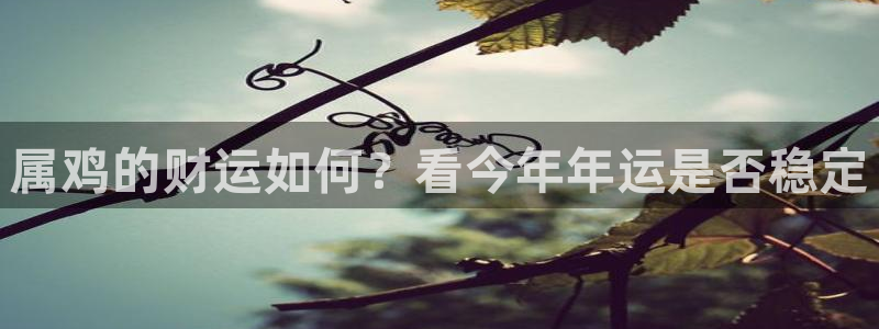fun88环球