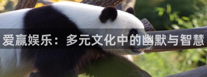 fun88环球视点