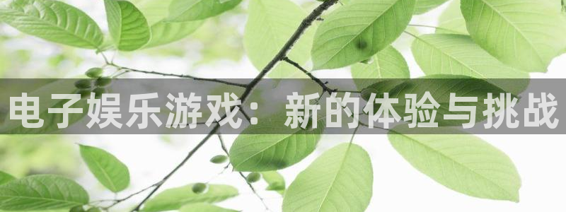 乐天堂fun88备用网址
