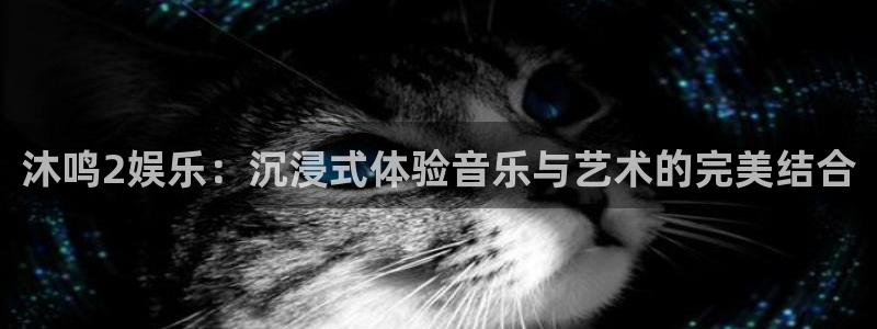 fun88网页版登录：沐鸣2娱乐：沉浸式体验音乐与艺术的完美结合