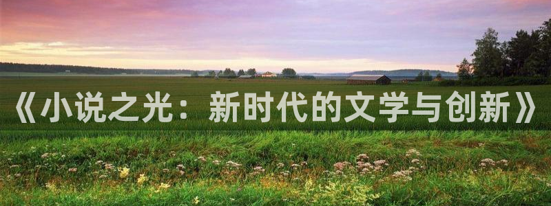 fun88客服：《小说之光：新时代的文学与创新》