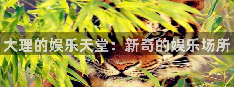 fun88·天堂乐：大理的娱乐天堂：新奇的娱乐场所