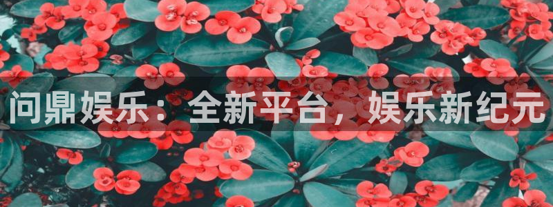乐天堂fun88：问鼎娱乐：全新平台，娱乐新纪元