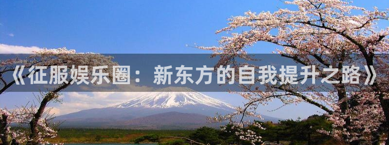 乐天天堂fun88：《征服娱乐圈：新东方的自我提升之路》