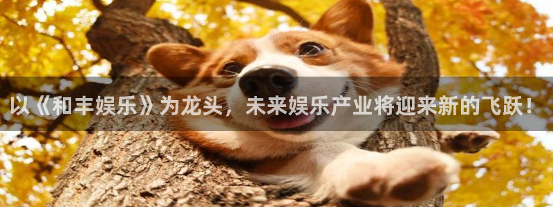 fun88网页版登录：以《和丰娱乐》为龙头，未来娱乐产业将迎来新的飞跃！