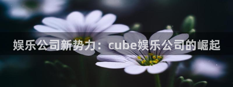 乐天堂fun88：娱乐公司新势力：cube娱乐公司的崛起