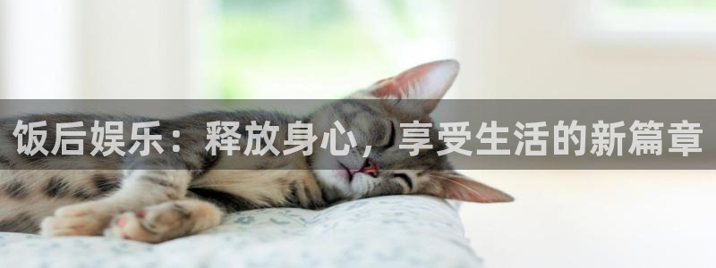fun88网页版登录：饭后娱乐：释放身心，享受生活的新篇章