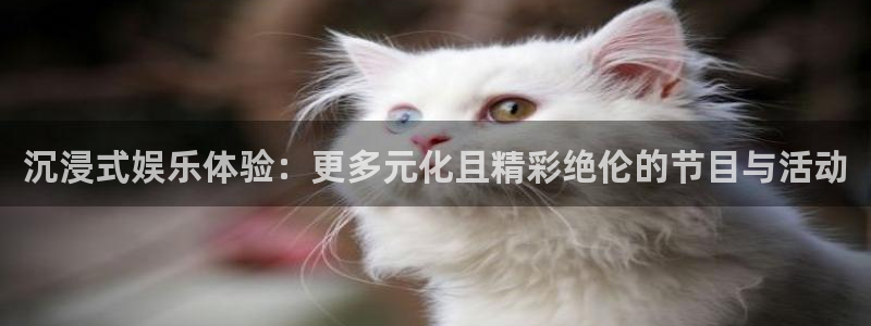 乐天天堂fun88：沉浸式娱乐体验：更多元化且精彩绝伦的节目与活动