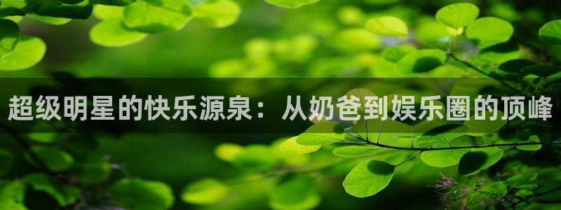 乐天天堂fun88：超级明星的快乐源泉：从奶爸到娱乐圈的顶峰